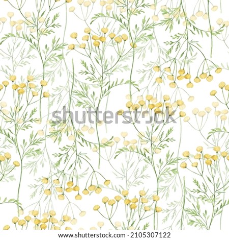 Watercolor botanical seamless pattern Delicate meadow wildflowers. Hand drawn tansy Floral print. For birthday card, invitation, happy easter, mother day, linen, wrapping paper, wallpaper, textile.