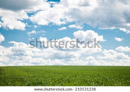 green field, white clouds, blue sky
