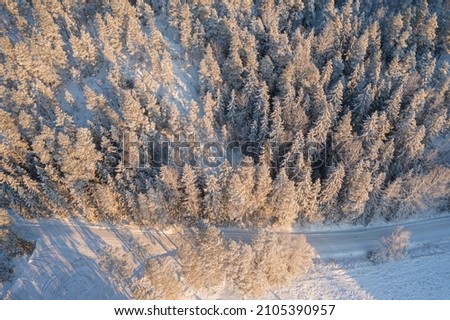 Winter forest landscape on a sunny day. Pines under the snow. drone photo. Scandinavian nature. Finland.