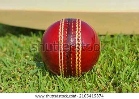Red cricket ball and cricket bat on green grass field closed up cricket ball.
