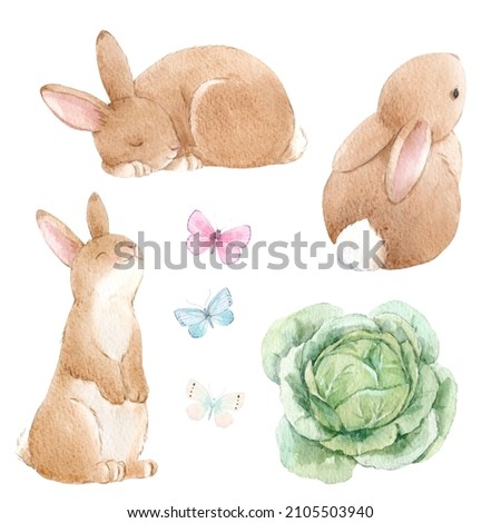 Beautiful set with cute watercolor hand drawn rabbits and cabbage. Stock illustration.
