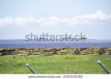 solar farm green energy from sun light show a lot of solar cell plate. Selective focus.