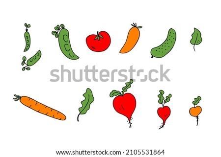 Hand drawn harvest vegetables icons collection. Perfect for poster, stickers and print. Doodle vector illustration for decor and design.
