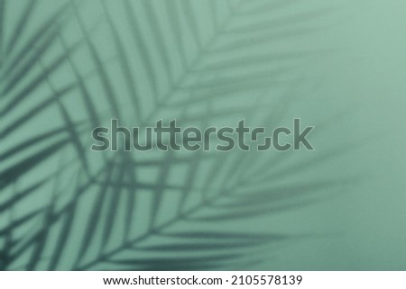 Natural palm leaves shadow on gradient paper background. Abstract blue and mint tropical backdrop. Soft light