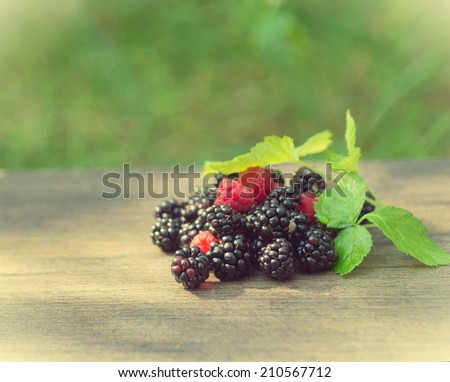 forest berries on the wooden table 