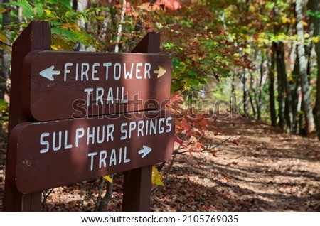 Outdoor carved signs that say FIRETOWER TRAIL and SULPHUR SPRINGS TRAIL with nature footpath in background