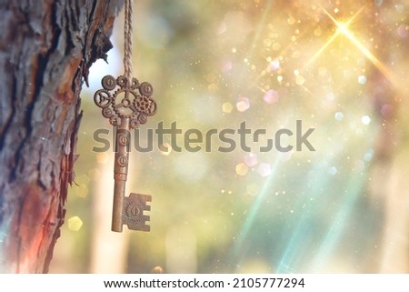 An ancient key hangs on a tree trunk in the forest Royalty-Free Stock Photo #2105777294