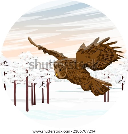 Round composition. A large brown owl flies over a winter meadow and pine forest. Wild birds of the forest. Realistic vector landscape