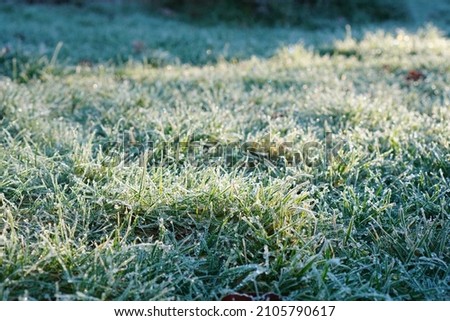 Morning Frost in the UK Low to Ground (British winter morning with sun shining on frost on the grass)                                Royalty-Free Stock Photo #2105790617