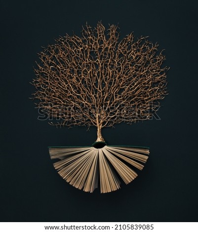 Golden tree growing from the old book, Education and knowledge concept. Flat lay.