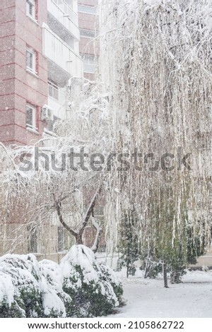A magical scene of a white snow winter idyllic in an urban city landscape with snowy trees and buildings in the background.