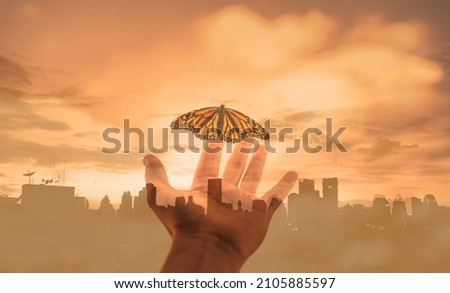 Hand releasing a butterfly in the city. Freedom, and hope concept. 