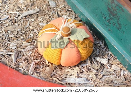 Pumpkin vintage for fall season