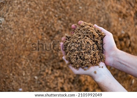 Hands holding bunch of brewer's grains, livestock feed. Royalty-Free Stock Photo #2105992049