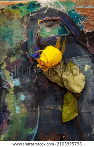 dried flower of  yellow rose on a picturesque sand background, made in pasty technique with acrylic