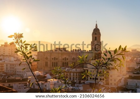 Sunset from the walls of the Alcazaba of the city of Malaga and in the background the Cathedral of the Incarnation of Malaga, Andalusia. Spain. Medieval fortress in arabic style