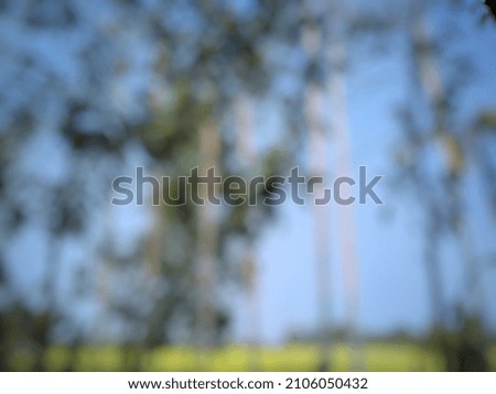 defocused abstract background of trees
