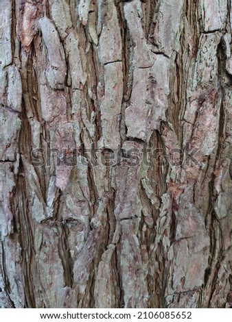 wood texture cracked brown background