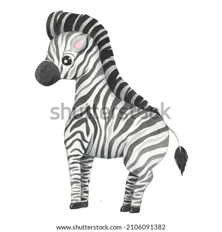 Watercolor cute cartoon zebra animal character isolated on white. Hand painted exotic tropical little baby cat perfect for nursery print poster design and baby shower card making
