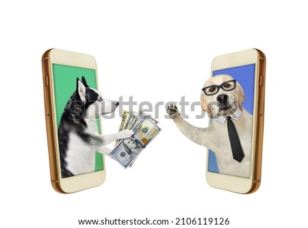 Two dogs transfer money with smartphones. White background. Isolated.