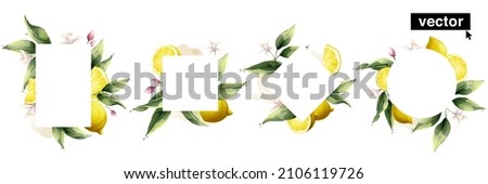 Hand-drawn watercolor painting lemon frame on white background. Vector illustration of green leaves, flowers, buds, and branches. Perfect for background for greetings, birthdays, mothers day cards.