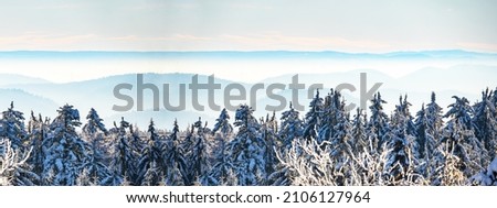 Amazing mystical rising fog sky forest snow snowy trees landscape snowscape in black forest ( Schwarzwald ) winter, Germany panorama banner - mystical snow mood	
