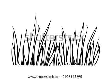 A bunch of grass. Hand drawn simple black outline vector illustration in doodle style, isolated on white background. Natural design element, clip art for decoration on nature theme, coloring page
