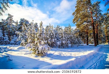 Winter day in snowy forest. Winter snow scene. Snowy winter forest landscape. Winter forest view Royalty-Free Stock Photo #2106192872