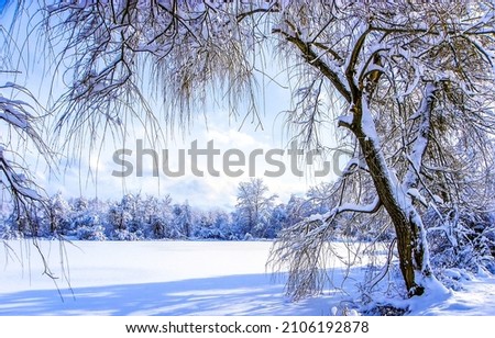 Snow in the winter forest. Winter snow scene. Winter forest in snow Royalty-Free Stock Photo #2106192878