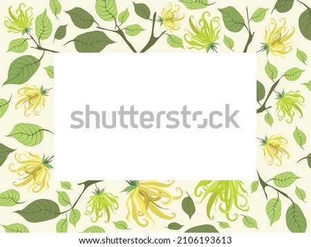 Beautiful Flower, Illustration of Yellow Color of Ylang-Ylang Flowers Frame.

