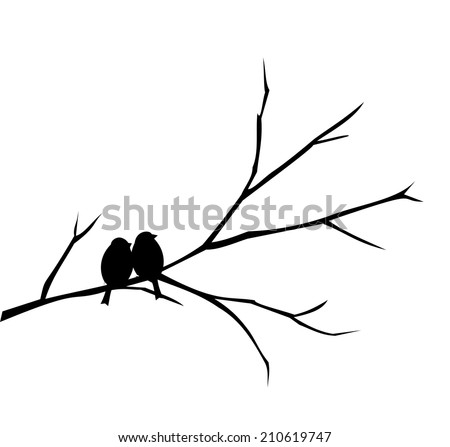 Two birds sitting on a branch vector