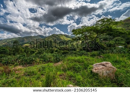 Beautiful landscape in southwestern Uganda, at the Bwindi Impenetrable Forest National Park, at the borders of Uganda, Congo and Rwanda. The Bwindi National Park is the home of the mountain gorillas Royalty-Free Stock Photo #2106205145