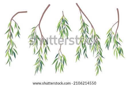 Set of simple tree branches with green leaves isolated on white. Fresh foliage weeping willow tree in spring and summer season. Part of deciduous plant vector illustration in flat style.