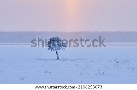 winter landscape against the background of sunset