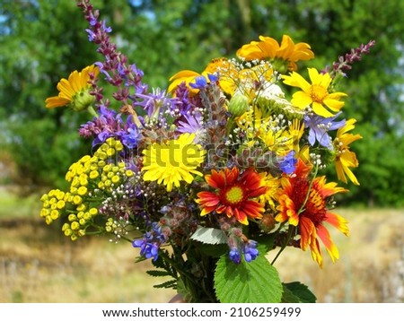 Beautiful bouquet of wildflowers on the background of a steppe meadow, different wildflowers in a bouquet Royalty-Free Stock Photo #2106259499
