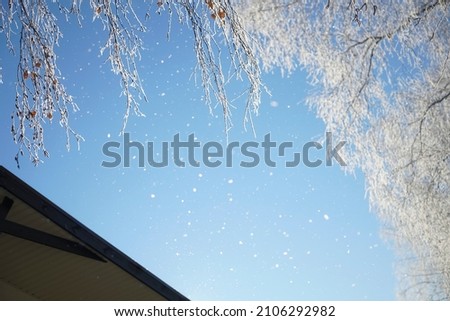 Winter landscape of snowy tree branches against blue sky during the snowfall with free space for text. roof of house.