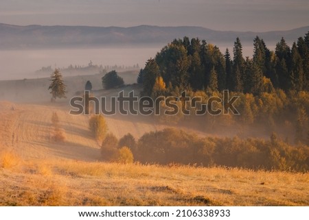 Foggy, autumn morning in the Pieniny Mountains. Light and fog create an amazing mood in the photo.
