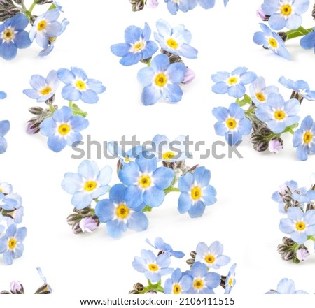 Beautiful blue forget-me-nots flowers seamless pattern on white background. Floral texture for design, textile and background. Royalty-Free Stock Photo #2106411515