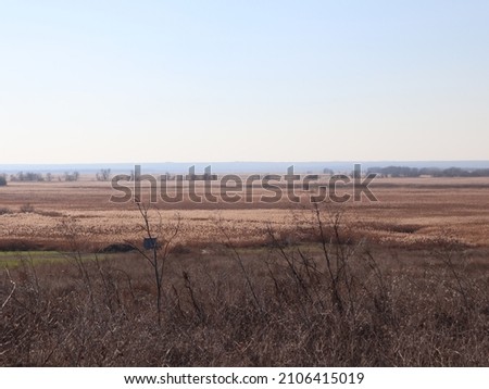 road rolled by cars in the steppe