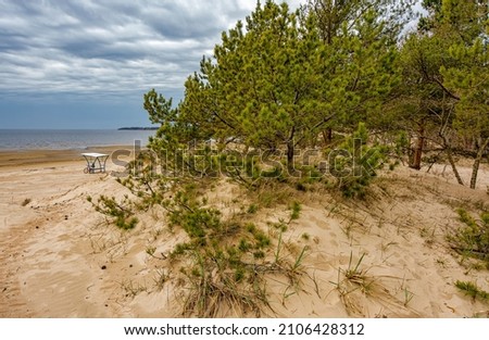 Sand dunes on the coast of the Gulf of Finland in the Leningrad region near the city of Sosnovy Bor.  Royalty-Free Stock Photo #2106428312