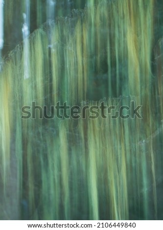abstract intentional motion blur of green trees with hanging fur vertical format camera moved up and down during long time exposure causing hanging or falling feeling backdrop or background wallpaper