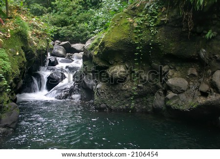 waterfall tour water tree flow vegetation summer nature jungle forest falls travel life spring season wild panorama scene plants foliage natural earth splash leaves rocks fresh mountains trees clear p
