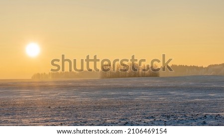 Winter landscape in snow nature with sun, field and trees. Magical winter sunset in a snow field. Nature concepts.