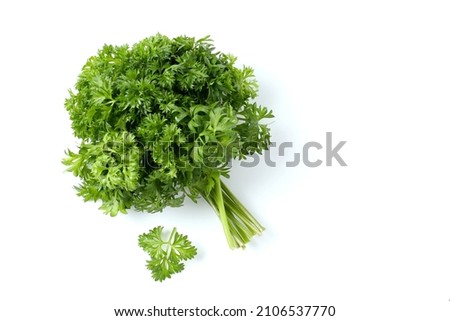Isolated picture of a bunch of fresh curly parsley on white background