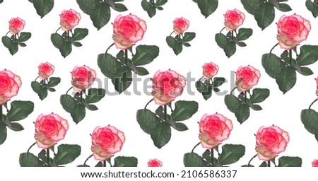 Roses and leaves pattern background. Repeating pattern of pink roses on a white background. Beautiful floral background. Event cover photo.