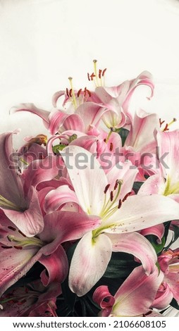 bouquet of pink lilies on a white background Royalty-Free Stock Photo #2106608105