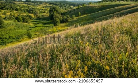 Green meadows in a hilly area in the summer in the evening. Panoramic landscape. Ukraine.