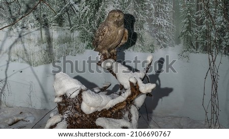 A large stuffed owl. Brown dummy owl home decoration. The study of bird species. Birdwatching concepts.