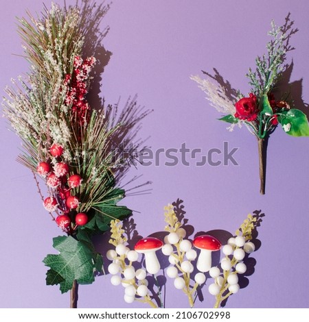 winter leaves and berries with mushrooms and a minimal purple background