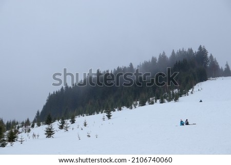 mountain at winter, snowy mountain in winter time, incredible winter landscape with snowcapped pine trees under bright sunny light in frosty morning, amazing nature scenery in winter mountain valley. 